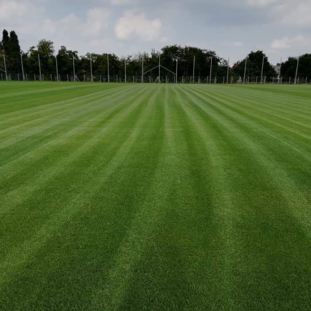 TerraCottem Turf 20kg - Afbeelding 3